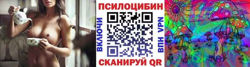 Псилоцибиновые грибы Cubensis  где купить   Ленинск 
